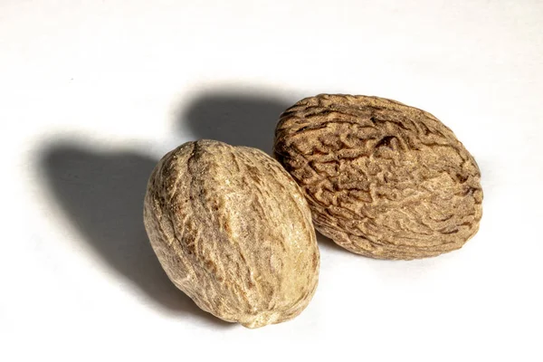 Nutmeg Spice Isolated White Background — Stock Photo, Image