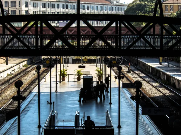 Sao Paulo Brazil June 2018 Moving Luz Station Trains Passengers — Stock Photo, Image