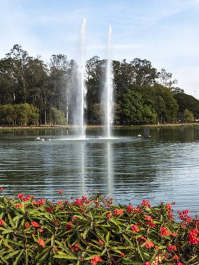 Sao Paulo, Brezilya, 07 Temmuz 2018... Çeşme göstermek Ibirapuera Park Sao Paulo, Brezilya