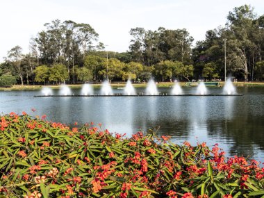 Sao Paulo, Brezilya, 07 Temmuz 2018... Çeşme göstermek Ibirapuera Park Sao Paulo, Brezilya