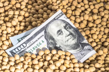 Tarım kavramı, 100 dolarlık banknot, soya