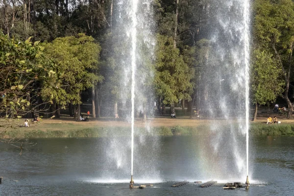 圣保罗 2018年7月07日 巴西圣保罗诺富特伊比拉普埃拉公园喷泉展 — 图库照片