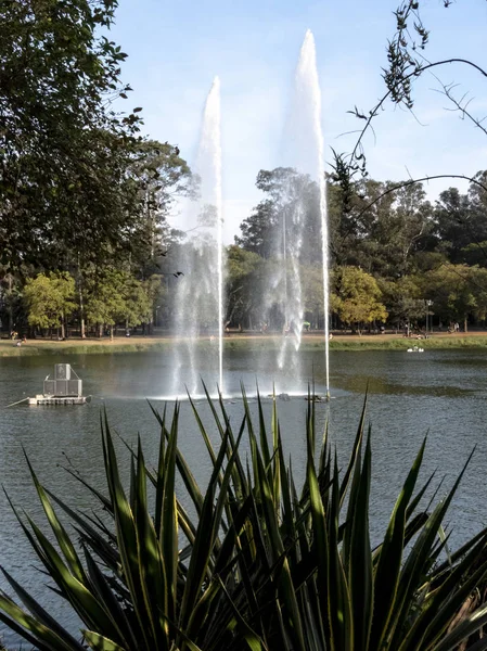 Sao Paulo Brezilya Temmuz 2018 Çeşme Göstermek Ibirapuera Park Sao — Stok fotoğraf