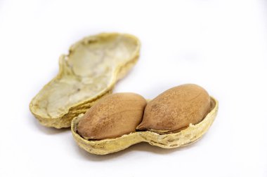 Beyaz arka plan üzerinde izole fıstık. Fıstık makro.