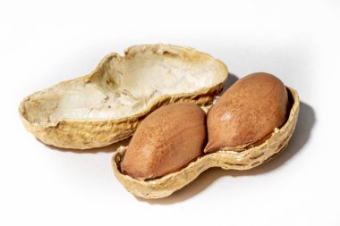 Beyaz arka plan üzerinde izole fıstık. Fıstık makro.