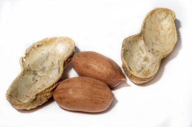 Beyaz arka plan üzerinde izole fıstık. Fıstık makro.