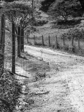 Ağaç ve kırsal Brezilya çit