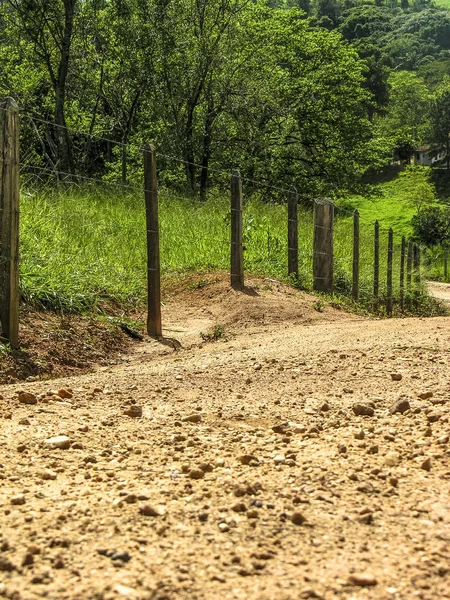 Tree Fence Countryside Brazil — Stock Photo, Image