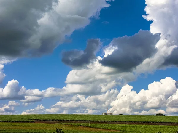 Silo Campo Milho Verde Com Muitas Nuvens Céu — Fotografia de Stock