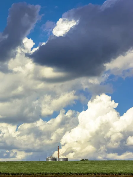 Silo Campo Milho Verde Com Muitas Nuvens Céu — Fotografia de Stock