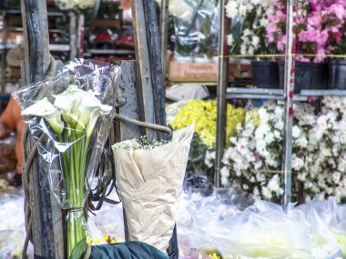 Sao Paulo, Brezilya, 04 Eylül 2007. İnsanlar çiçek Market Ceagesp Batı tarafında Sao Paulo