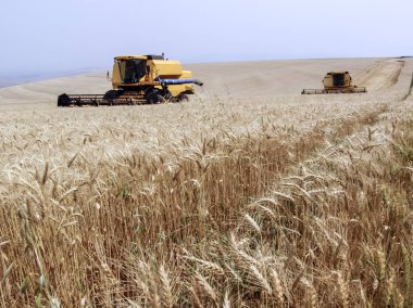 Biçerdöver buğday alan birleştirmek