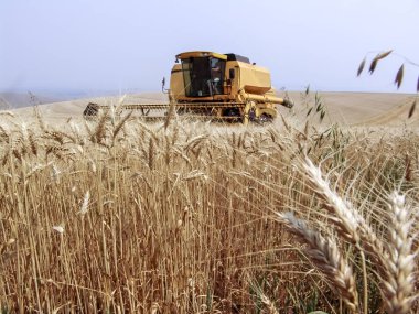 Biçerdöver buğday alan birleştirmek