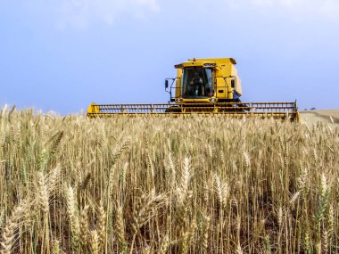 Biçerdöver buğday alan, Parana devlet, Brezilya güneyinde birleştirmek