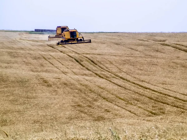 Harvester Een Tarweveld Combineren — Stockfoto