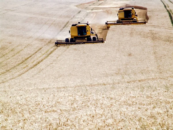 Harvester Een Tarweveld Combineren — Stockfoto