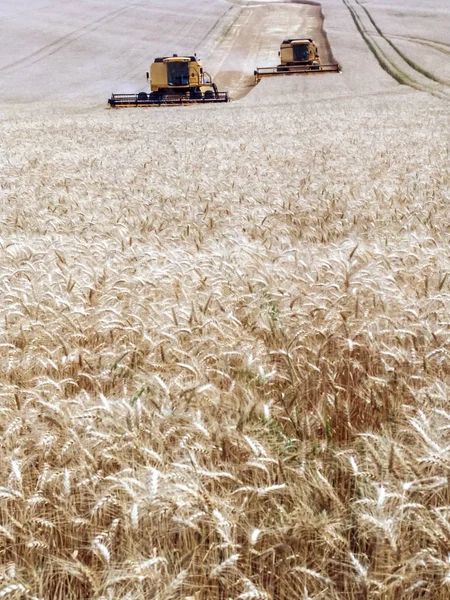 Harvester Een Tarweveld Combineren — Stockfoto