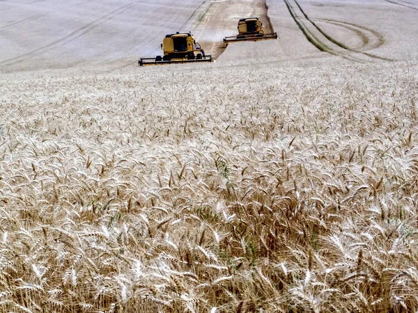 Комбайн Пшеничном Поле — стоковое фото