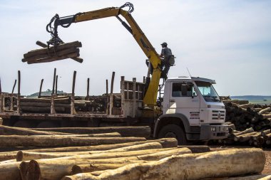 Botucatu, Sao Paulo, Brezilya, 03 Eylül 2008. Okaliptüs günlükleri endüstrisi için kamyon yükler