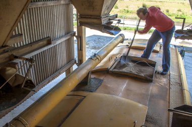 Sao Jose, Santa Catarina, Brezilya, 24 Eylül 2009. İşçi Sao Jose, Santa Catarina Devlet bir silo saklanan sorgum tohumu ile bir kamyon yükleme denetler.