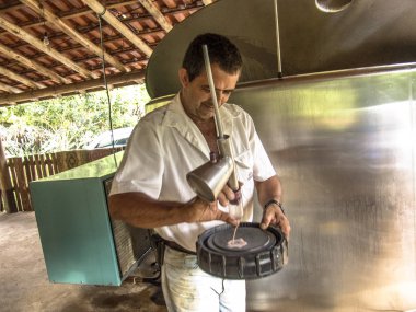 Sao Francisco Xavier, Sao Paulo, Brazil, January 27, 2006. Farmer makes quality test of freshly milked milk to be sent to the dairy industry clipart