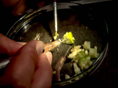 Petrolina, Pernambuco. Brezilya, 13 Temmuz 2006. Araştırmacı petrolina, Pernambuco, kuzeydoğu Brezilya'da yarı kurak Embrapa laboratuvarında bitki ve mantar analizi yapar, Brezilya Tarımsal Araştırma Corporation yarı kurak bölge,