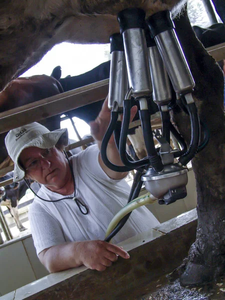 Sao Paulo Brésil Février 2007 Système Traite Automatique Ferme Vache — Photo