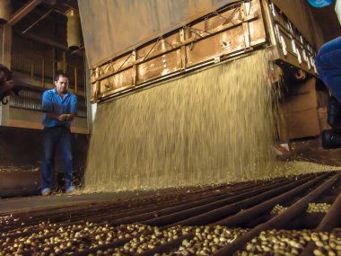 Mato Grosso, Brezilya, 01 Mart 2008. Kamyon bir silo soya çöplüğüne Mato Grosso durumda yapar.