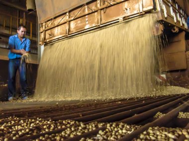 Mato Grosso, Brezilya, 01 Mart 2008. Kamyon bir silo soya çöplüğüne Mato Grosso durumda yapar.