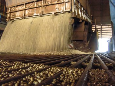 Mato Grosso, Brezilya, 01 Mart 2008. Kamyon bir silo soya çöplüğüne Mato Grosso durumda yapar.