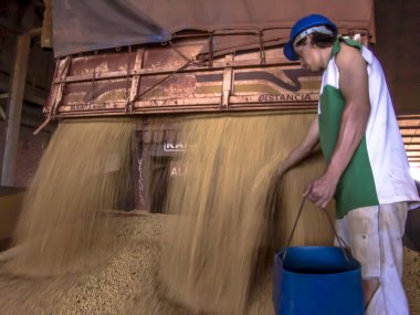 Mato Grosso, Brezilya, 01 Mart 2008. Kamyon bir silo soya çöplüğüne Mato Grosso durumda yapar.