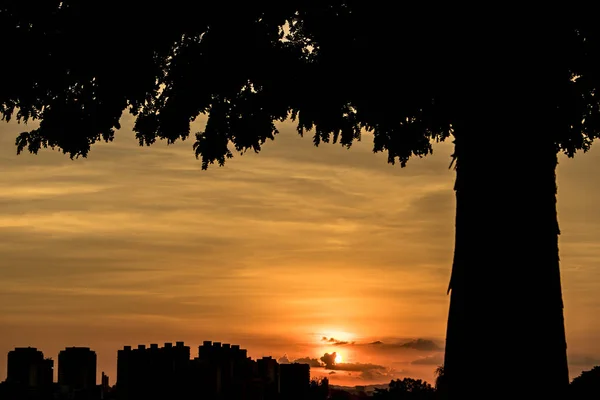 Skyline Cidade São Paulo Hora Pôr Sol — Fotografia de Stock