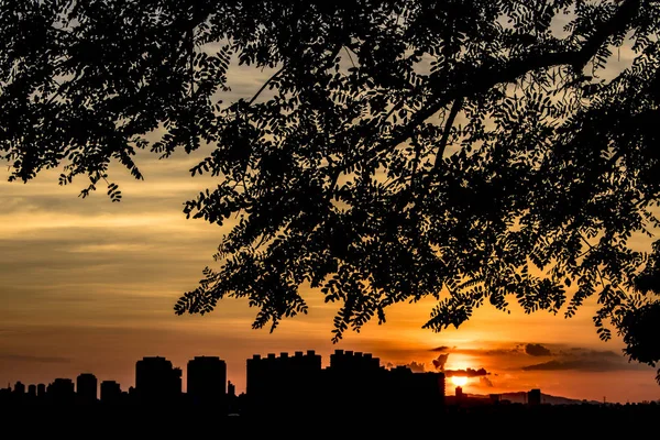 Skyline Van Sao Paulo City Zonsondergang Tijd — Stockfoto