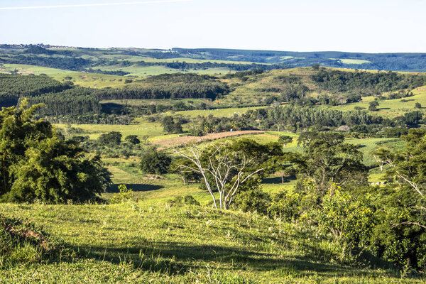 rural landscape in the state of Sao Paulo