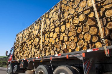 Pelotas, Rio Grande do Sul, 16 Temmuz 2008. Ağır kamyon Rio Grande do Sul, Brezilya yolda sürüş endüstriyel ormanlar taşır