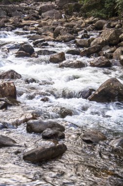 Peruibe Guarau Nehri'ne kayaların arasından su yarışı, Brezilya