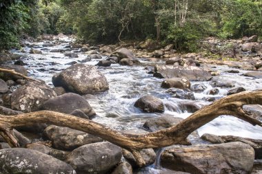 Peruibe Guarau Nehri'ne kayaların arasından su yarışı, Brezilya