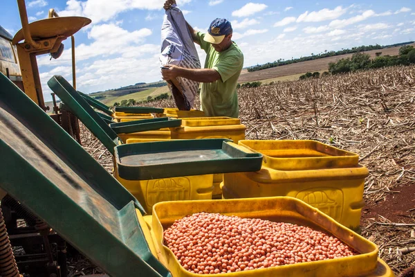 Parana, Brezilya, 24 Ekim 2009. Soya fasulyesi tohumları tanımsız çiftçi yük bir ekici makine