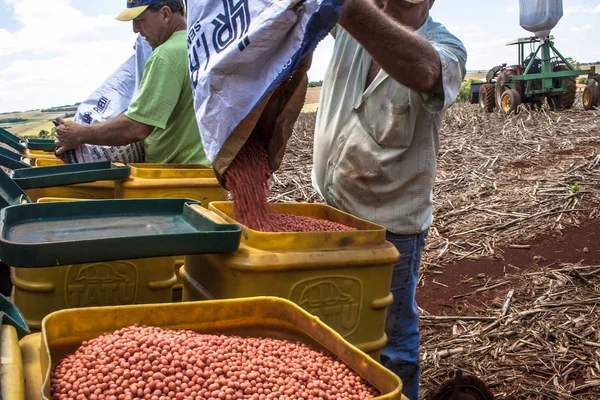 Paraná Brasil Outubro 2009 Carga Indefinida Agricultor Sementes Soja Uma — Fotografia de Stock