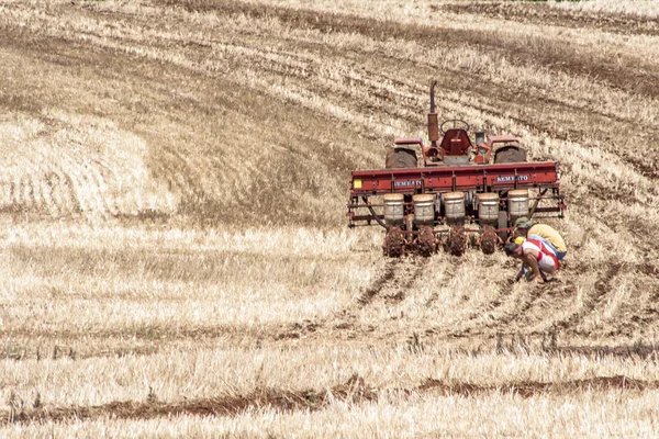 Parana Brasilien Oktober 2009 Soja Pflanzsaison Auf Dem Bauernhof Parana — Stockfoto