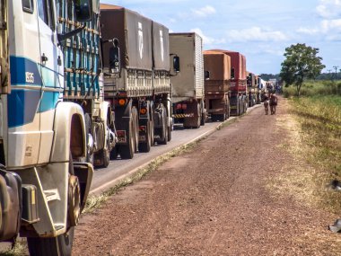 Mato Grosso, Brezilya, 24 Nisan 2005. Kamyon kırsal yolda art arda durdu