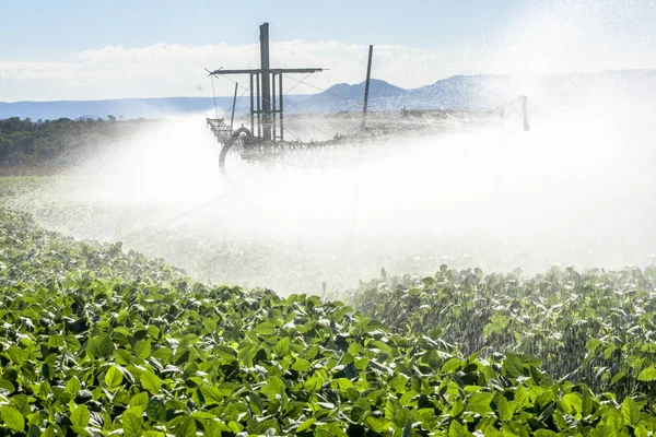 irrigation system watering a farm field of soy, in Brazil