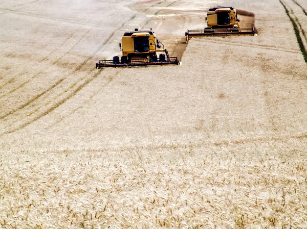 Комбайн Пшеничном Поле Бразилии — стоковое фото