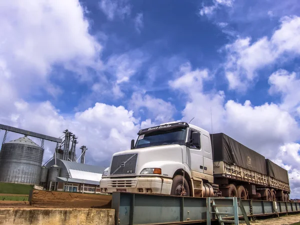 Mato Grosso Brasile Marzo 2008 Camion Pesa Suo Carico Sulla — Foto Stock