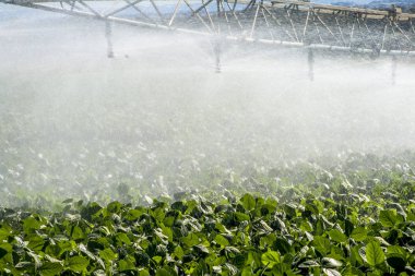 sulama sistemi soya bir çiftlik alanı sulama, Brezilya'da