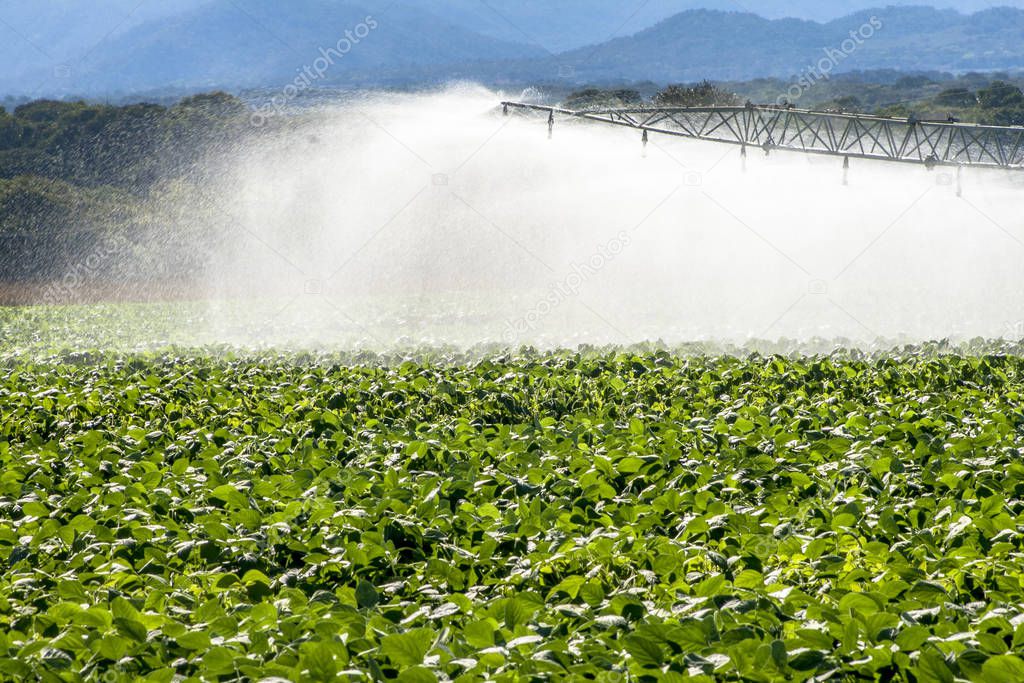 irrigation system watering a farm field of soy, in Brazil