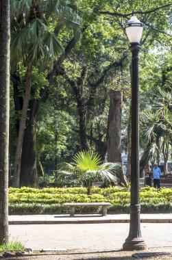Sao Paulo, Brezilya, 29 Ekim 2011. Sao Paulo şehir merkezindeki Luz Halk Parkı'ndaki insanlar. Burası şehrin ilk halka açık parkı.