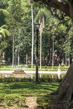 Sao Paulo, Brezilya, 29 Ekim 2011. Sao Paulo şehir merkezindeki Luz Halk Parkı'ndaki insanlar. Burası şehrin ilk halka açık parkı.