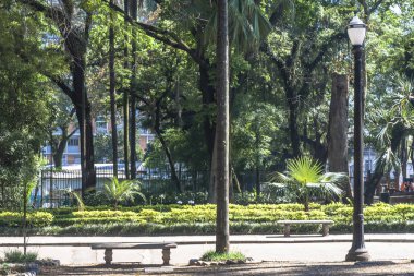 Sao Paulo, Brezilya, 29 Ekim 2011. Sao Paulo şehir merkezindeki Luz Halk Parkı'ndaki insanlar. Burası şehrin ilk halka açık parkı.