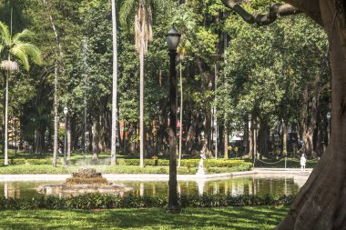 Sao Paulo, Brezilya, 29 Ekim 2011. Sao Paulo şehir merkezindeki Luz Halk Parkı'ndaki insanlar. Burası şehrin ilk halka açık parkı.